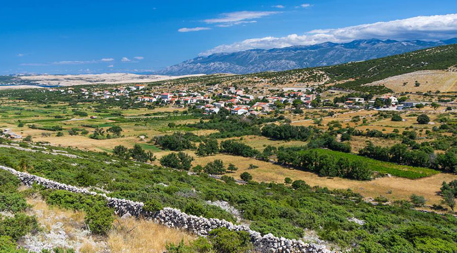 NASELJE KOLAN
