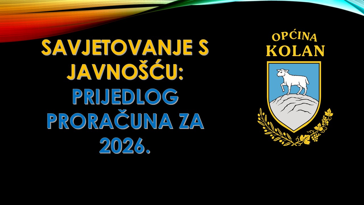 Savjetovanje s javnošću